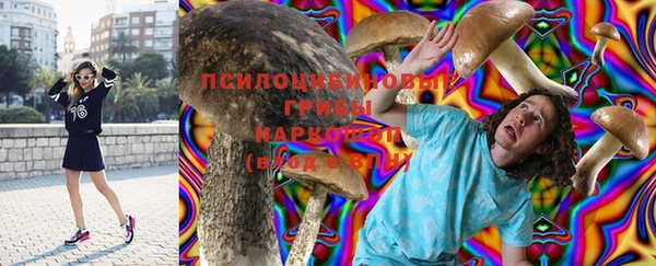 молекула духа Бронницы