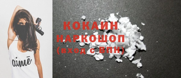 молекула духа Бронницы