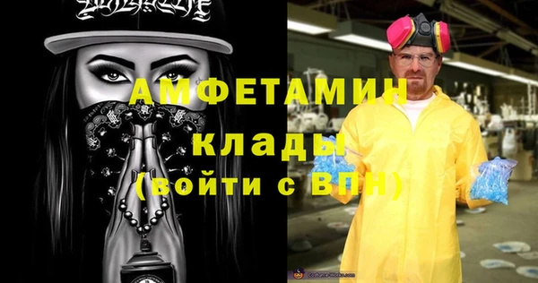 молекула духа Бронницы