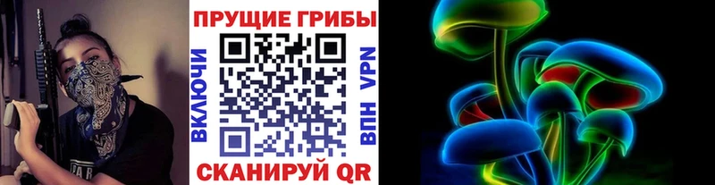 Купить закладки  Малая Вишера  Галлюциногенные грибы Cubensis 